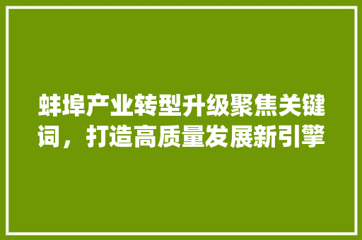 蚌埠产业转型升级聚焦关键词，打造高质量发展新引擎_蚌埠行业关键词优化