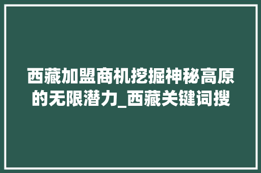 西藏加盟商机挖掘神秘高原的无限潜力_西藏关键词搜索优化加盟