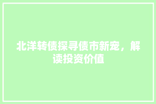 北洋转债探寻债市新宠，解读投资价值
