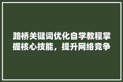 路桥关键词优化自学教程掌握核心技能，提升网络竞争力_路桥关键词优化自学教程
