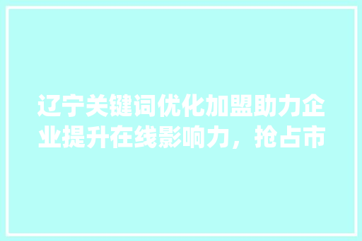 辽宁关键词优化加盟助力企业提升在线影响力，抢占市场先机_辽宁网站关键词优化加盟  第1张