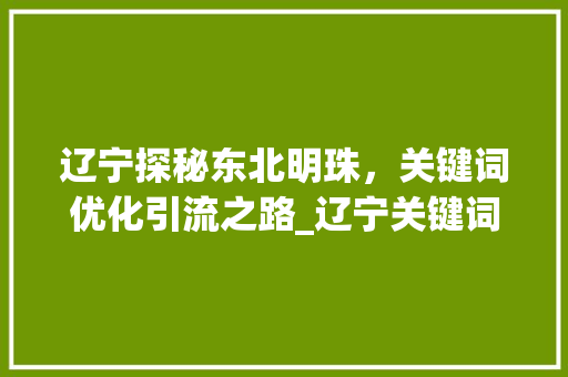 辽宁探秘东北明珠，关键词优化引流之路_辽宁关键词优化怎么引流