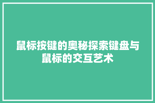 鼠标按键的奥秘探索键盘与鼠标的交互艺术