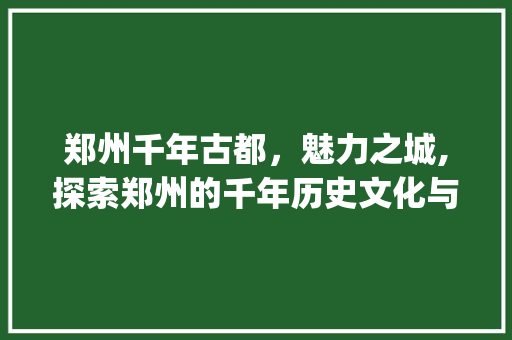 郑州千年古都，魅力之城,探索郑州的千年历史文化与现代发展_郑州关键词优化keyseo