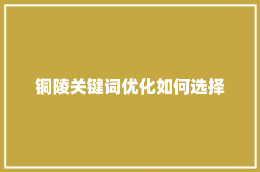 铜陵关键词优化如何选择