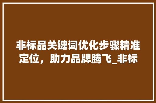 非标品关键词优化步骤精准定位，助力品牌腾飞_非标品如何优化关键词