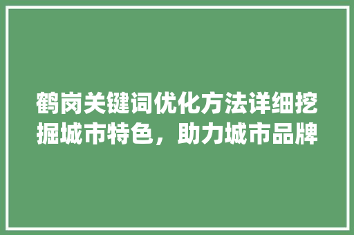 鹤岗关键词优化方法详细挖掘城市特色，助力城市品牌建设_鹤岗关键词优化方法  第1张