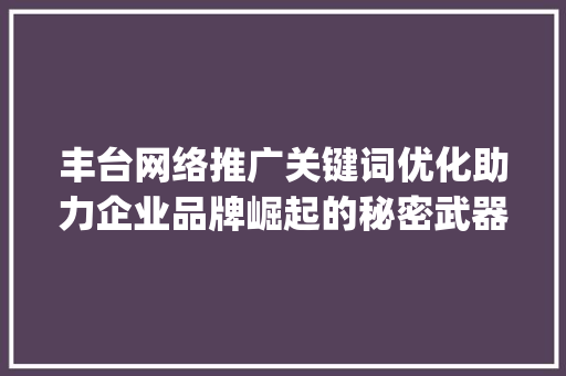 丰台网络推广关键词优化助力企业品牌崛起的秘密武器_丰台网络推广关键词优化  第1张