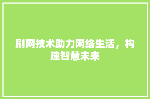 刷网技术助力网络生活，构建智慧未来