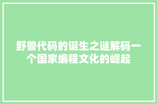 野兽代码的诞生之谜解码一个国家编程文化的崛起