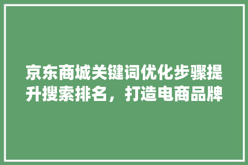 京东商城关键词优化步骤提升搜索排名，打造电商品牌新高度_京东商城关键词优化
