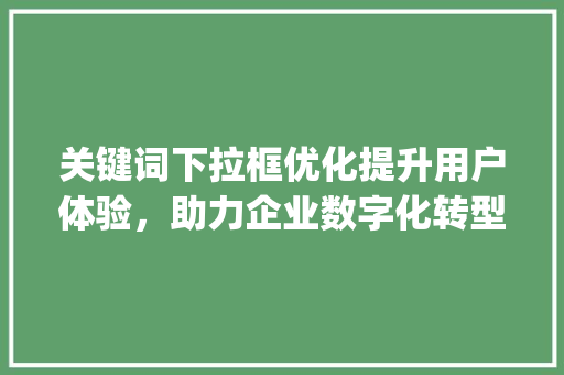 关键词下拉框优化提升用户体验，助力企业数字化转型_关键词下拉框优化