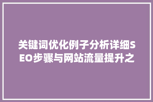 关键词优化例子分析详细SEO步骤与网站流量提升之路_网站关键词优化例子分析