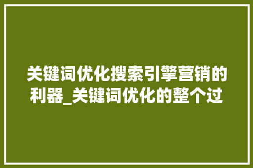 关键词优化搜索引擎营销的利器_关键词优化的整个过程
