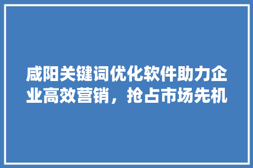 咸阳关键词优化软件助力企业高效营销，抢占市场先机_咸阳关键词优化软件