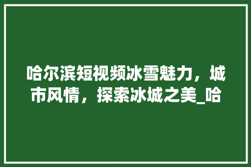 哈尔滨短视频冰雪魅力，城市风情，探索冰城之美_哈尔滨短视频关键词优化