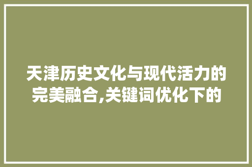 天津历史文化与现代活力的完美融合,关键词优化下的魅力之城_天津关键词优化有哪些