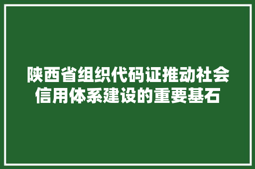 陕西省组织代码证推动社会信用体系建设的重要基石