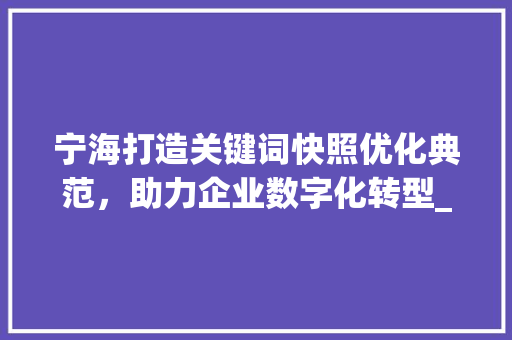 宁海打造关键词快照优化典范，助力企业数字化转型_宁海关键词快照优化