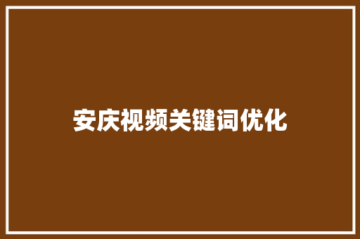 安庆视频关键词优化