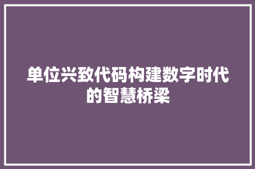 单位兴致代码构建数字时代的智慧桥梁