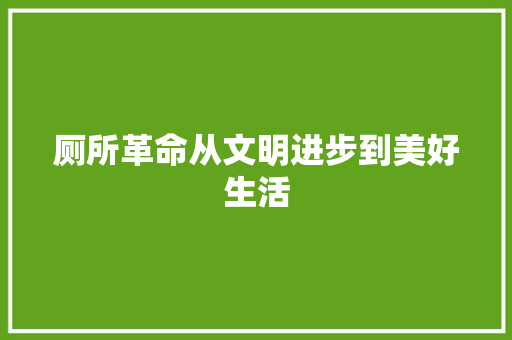 厕所革命从文明进步到美好生活
