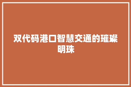 双代码港口智慧交通的璀璨明珠