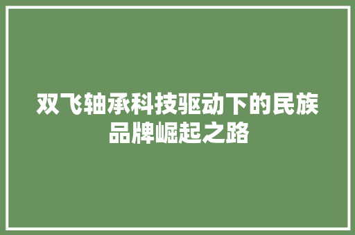 双飞轴承科技驱动下的民族品牌崛起之路