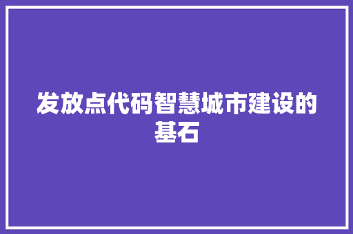 发放点代码智慧城市建设的基石
