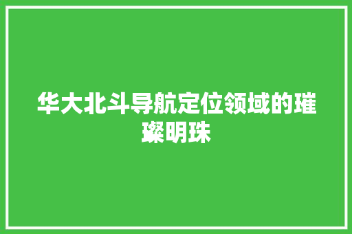 华大北斗导航定位领域的璀璨明珠