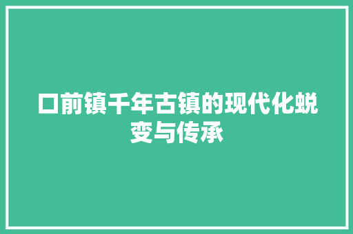口前镇千年古镇的现代化蜕变与传承