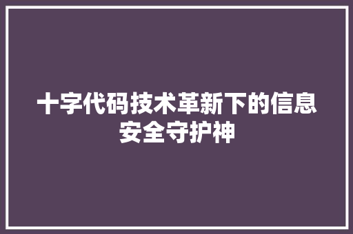 十字代码技术革新下的信息安全守护神
