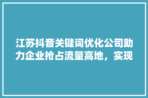 江苏抖音关键词优化公司助力企业抢占流量高地，实现品牌新突破_江苏抖音关键词优化公司