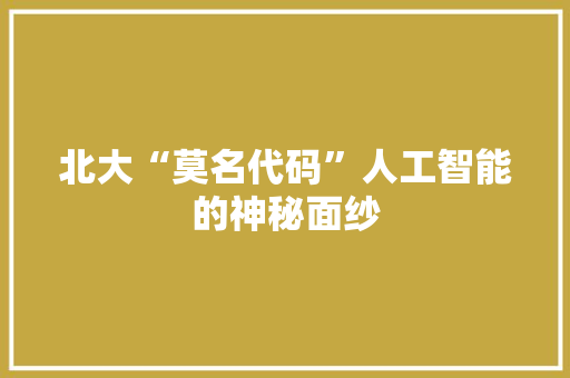 北大“莫名代码”人工智能的神秘面纱