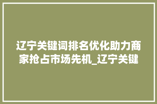 辽宁关键词排名优化助力商家抢占市场先机_辽宁关键词排名优化商家  第1张
