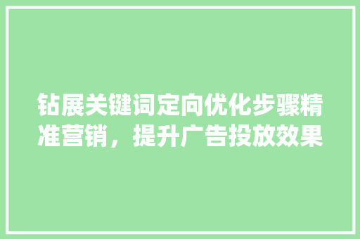 钻展关键词定向优化步骤精准营销，提升广告投放效果_钻展关键词定向如何优化