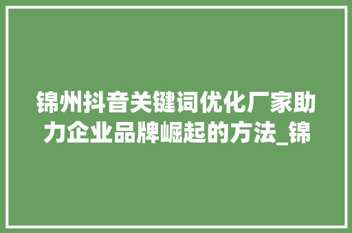 锦州抖音关键词优化厂家助力企业品牌崛起的方法_锦州抖音关键词优化厂家