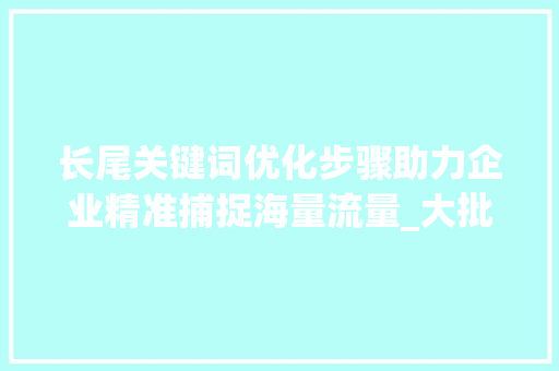 长尾关键词优化步骤助力企业精准捕捉海量流量_大批量优化长尾关键词