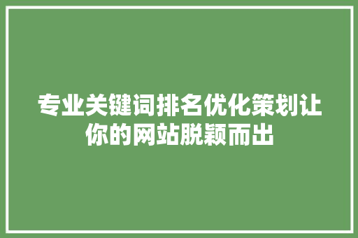 专业关键词排名优化策划让你的网站脱颖而出