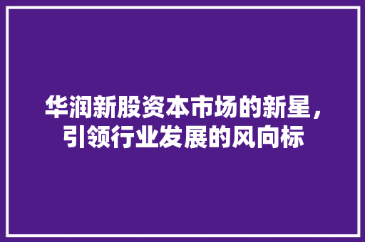 华润新股资本市场的新星，引领行业发展的风向标
