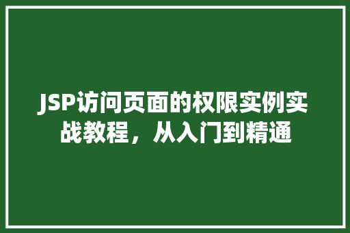 JSP访问页面的权限实例实战教程，从入门到精通