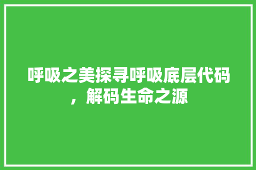 呼吸之美探寻呼吸底层代码，解码生命之源