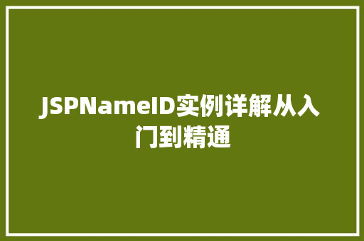 JSPNameID实例详解从入门到精通