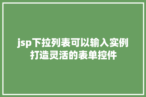 jsp下拉列表可以输入实例打造灵活的表单控件  第1张