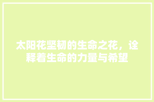 太阳花坚韧的生命之花，诠释着生命的力量与希望