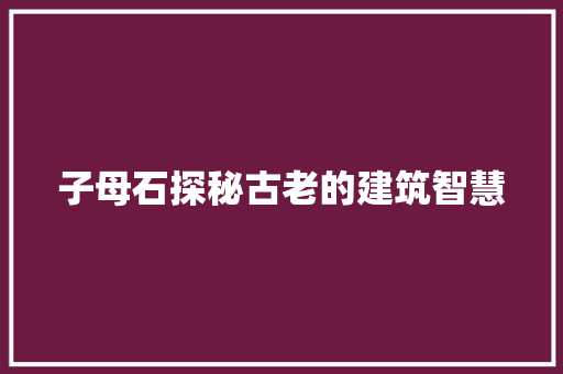子母石探秘古老的建筑智慧