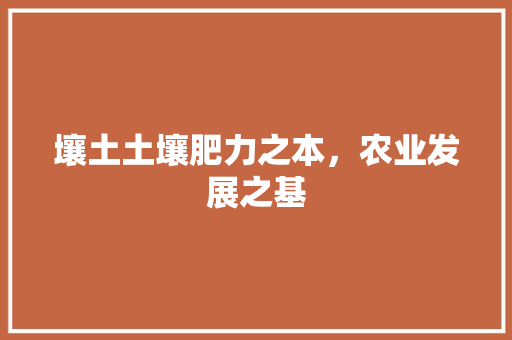 壤土土壤肥力之本，农业发展之基