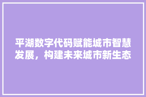 平湖数字代码赋能城市智慧发展，构建未来城市新生态