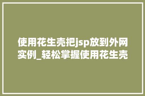 使用花生壳把jsp放到外网实例_轻松掌握使用花生壳将JSP网站部署到外网实例全攻略