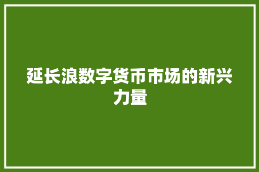 延长浪数字货币市场的新兴力量